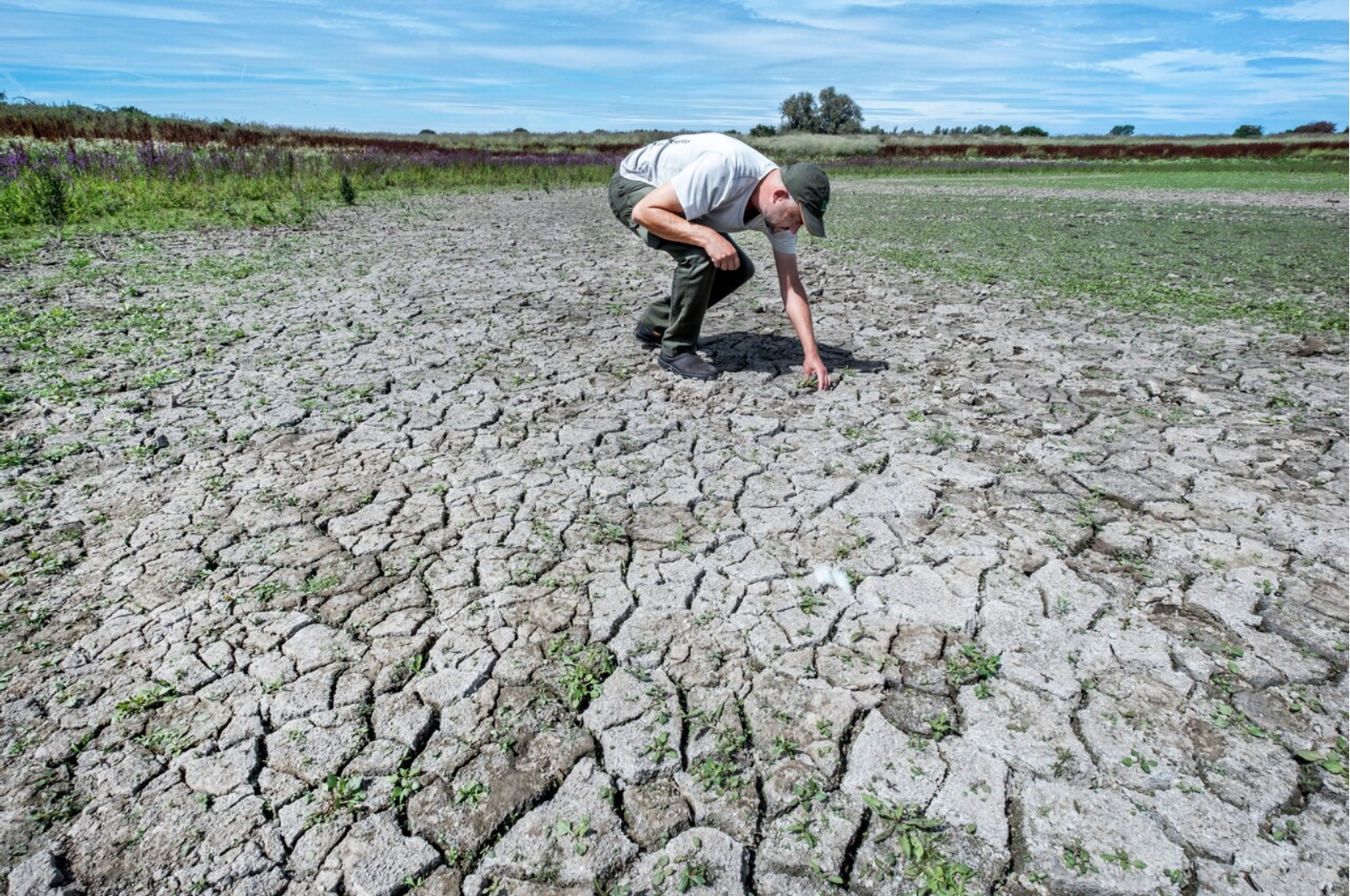 Uitgedroogde grond, foto Raymond Rutting