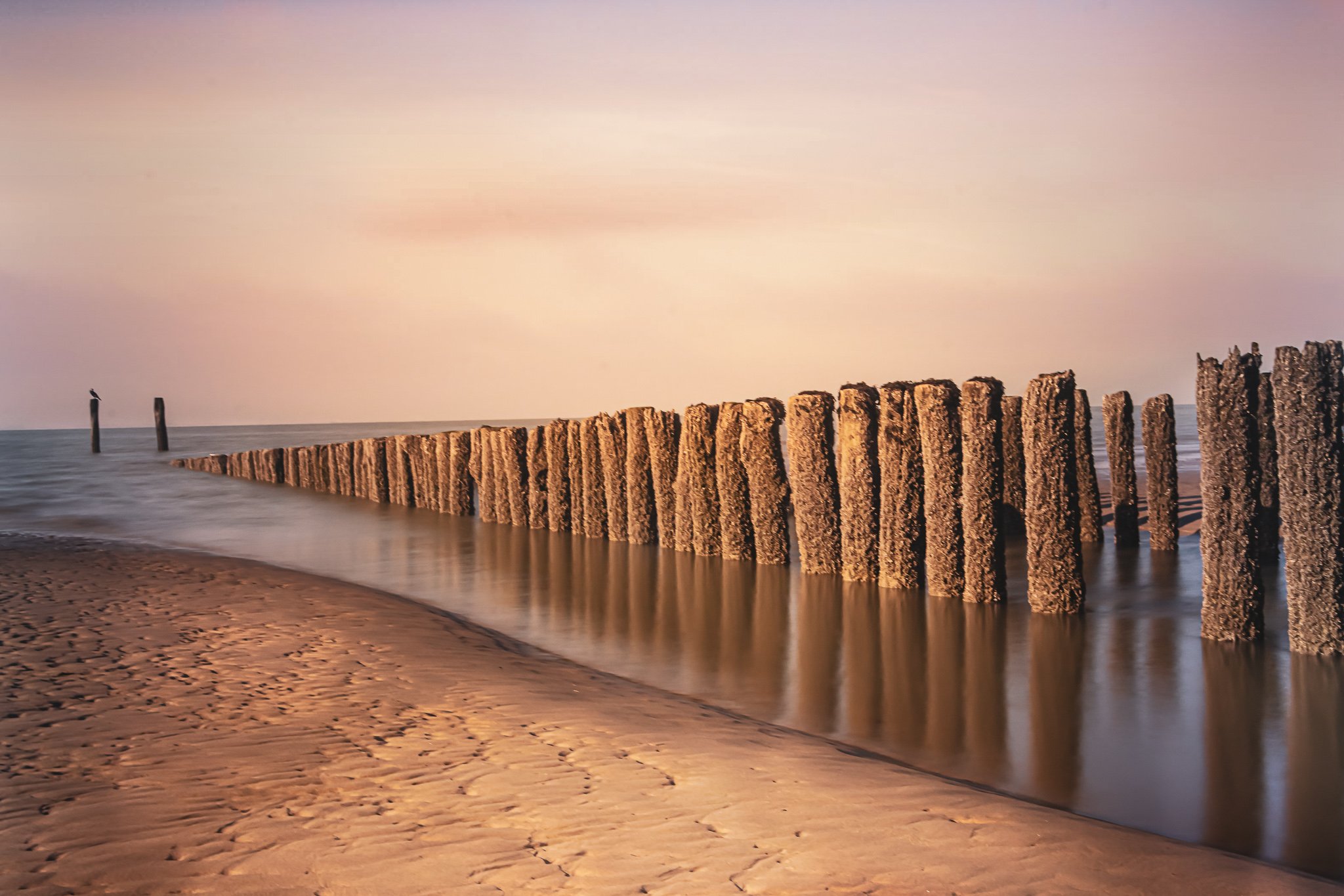 Houten palen in zee